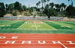 Wheelock Stadium